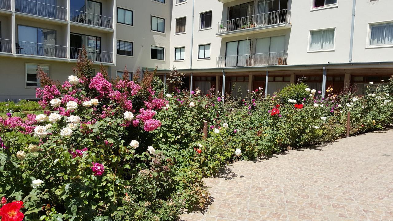 Brisas En Vina Apartamento